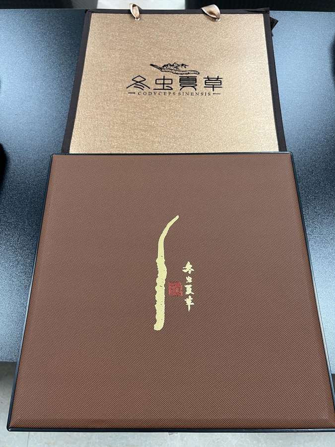 虫草特写